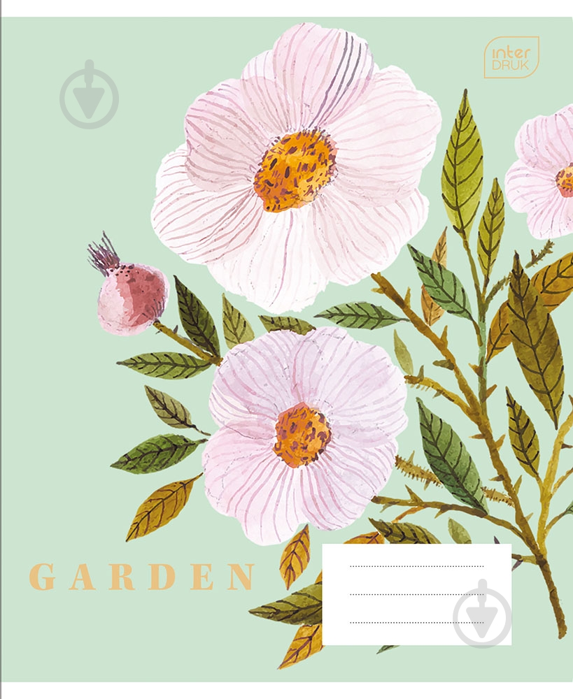 Тетрадь школьная А5 24 # BOTANIQUE InterDRUK - фото 4