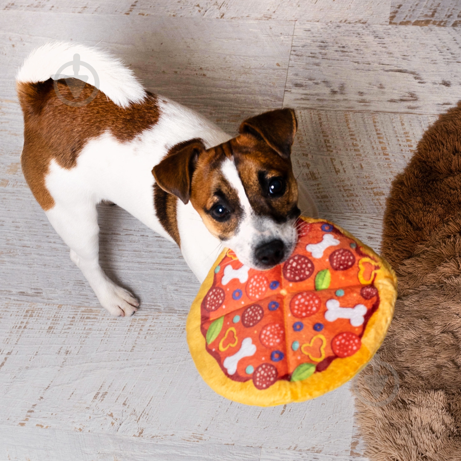 Игрушка для собак Fanny Animals Пицца с пищалкой 19 см МС 160401-13 - фото 1