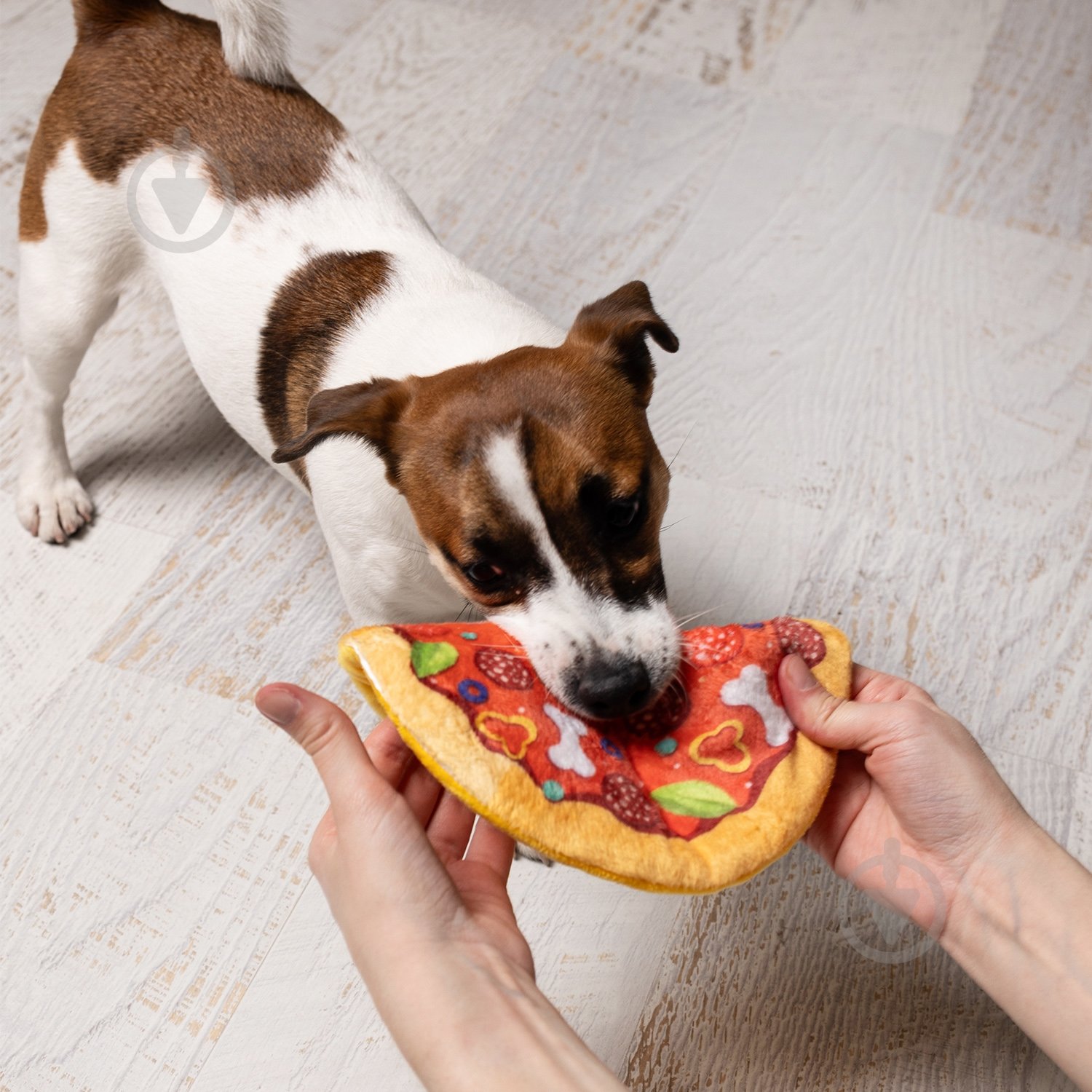 Игрушка для собак Fanny Animals Пицца с пищалкой 19 см МС 160401-13 - фото 3