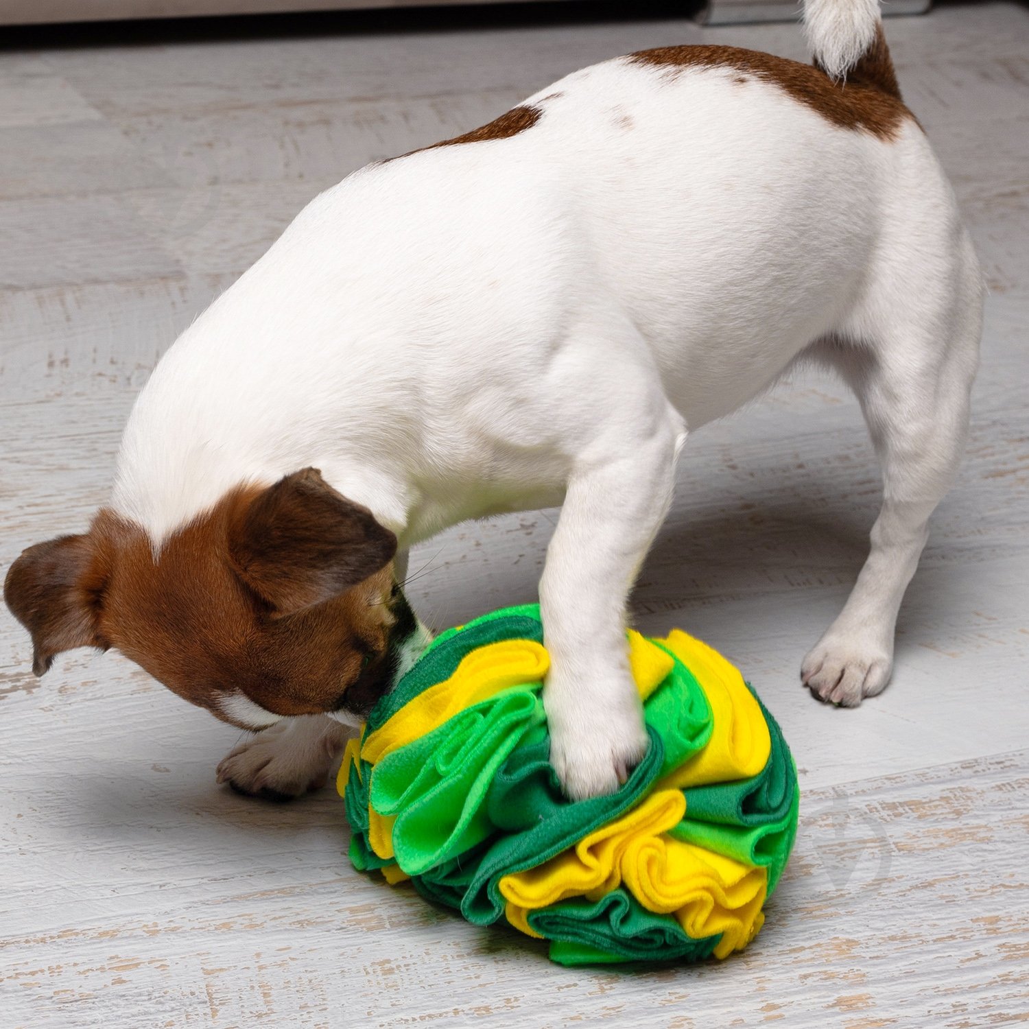 Игрушка для собак Fanny Animals нюхальный мяч МС 160401-19 - фото 6