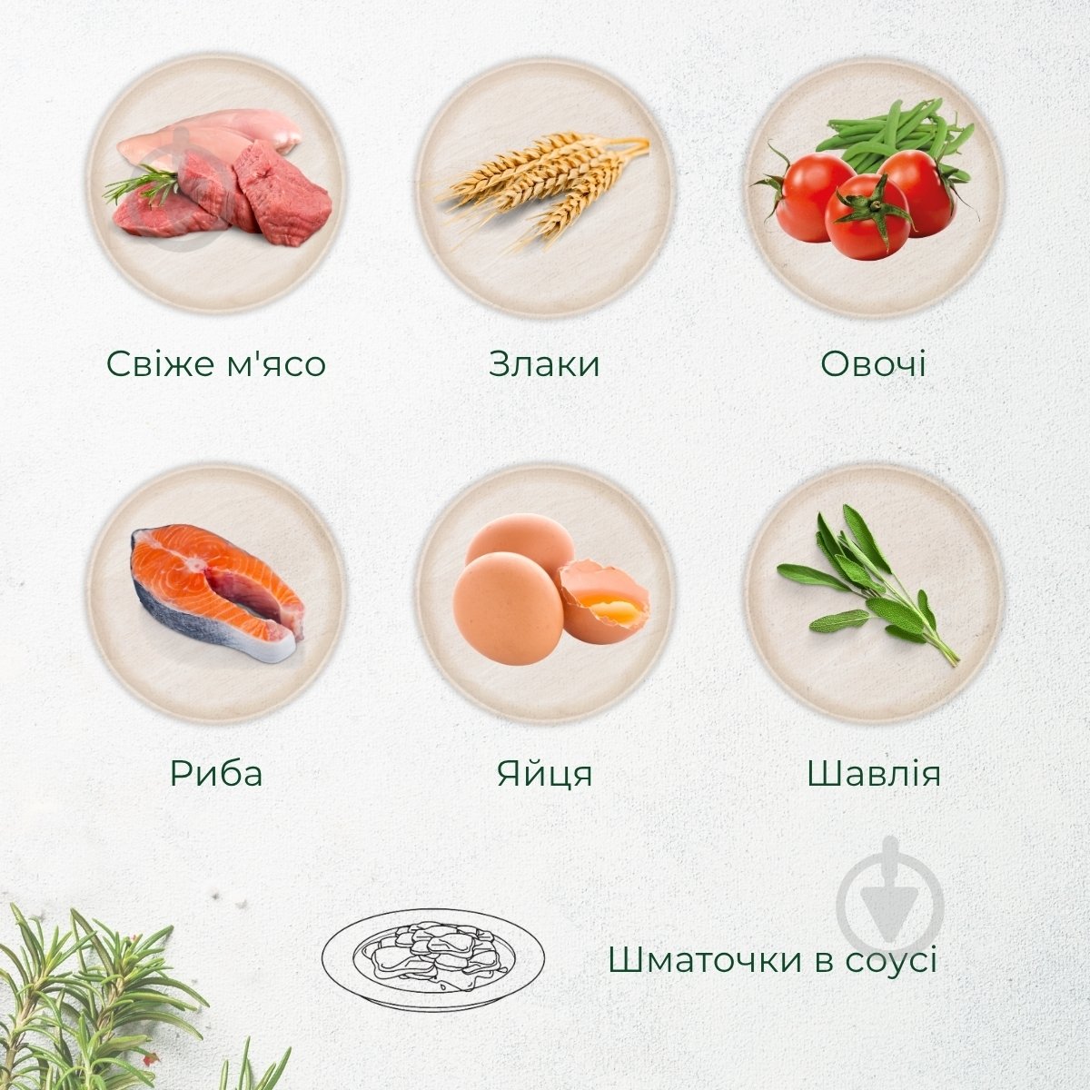 Корм влажный Morando Tradizioni для собак кусочки в соусе с курицей, стручковой фасолью и томатами 400 г - фото 3 Корм влажный Morando Tradizioni для собак кусочки в соусе с курицей, стручковой фасолью и томатами 400 г - фото 3