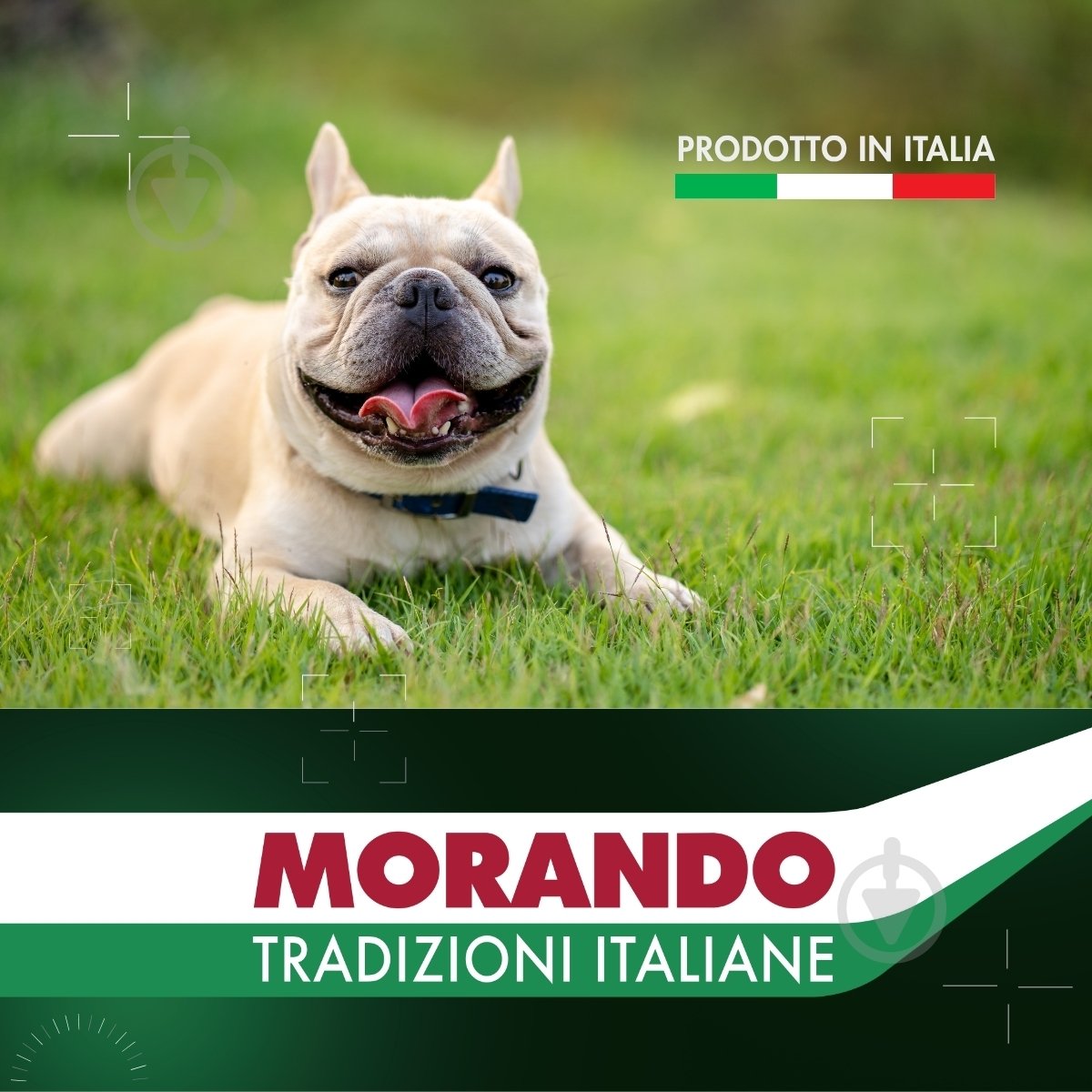 Корм влажный Morando Tradizioni для собак кусочки в соусе с курицей, стручковой фасолью и томатами 400 г - фото 6 Корм влажный Morando Tradizioni для собак кусочки в соусе с курицей, стручковой фасолью и томатами 400 г - фото 6