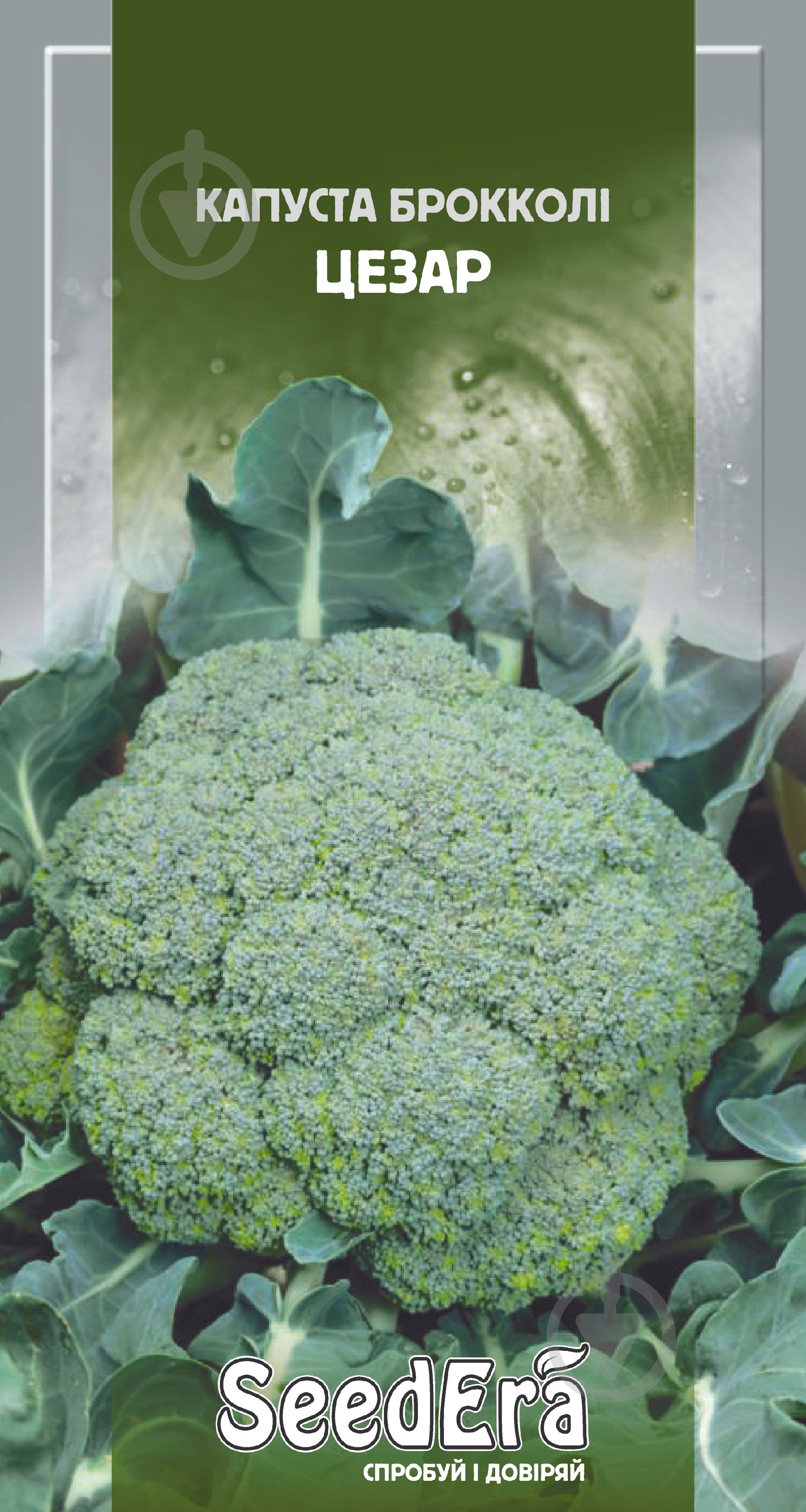 Насіння SeedEra капуста броколі Цезар 0,3 г (4823114400407) - фото 1