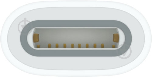 Адаптер Apple USB-C to Apple Pencil Adapter - фото 3 Адаптер Apple USB-C to Apple Pencil Adapter - фото 3