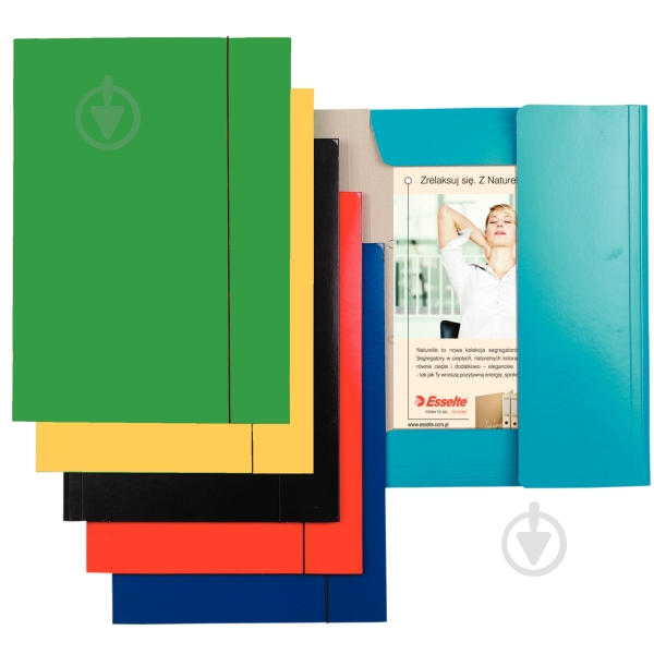 Папка на резинке картонная А4 зеленая Esselte - фото 2