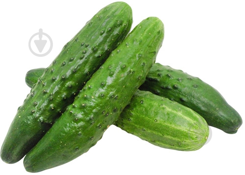 Огірки естафета - фото 1