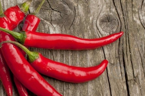 Перець гострий чілі - фото 6