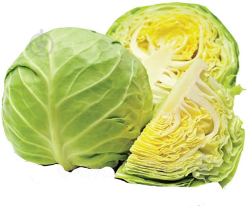 Капуста молода - фото 1