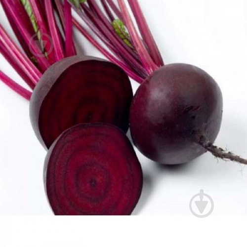 Свекла молодой украина - фото 3