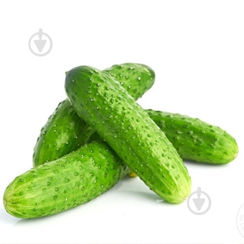 Огірки кураж - фото 1