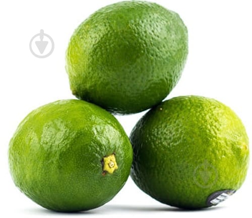 Лайм ваговий - фото 2