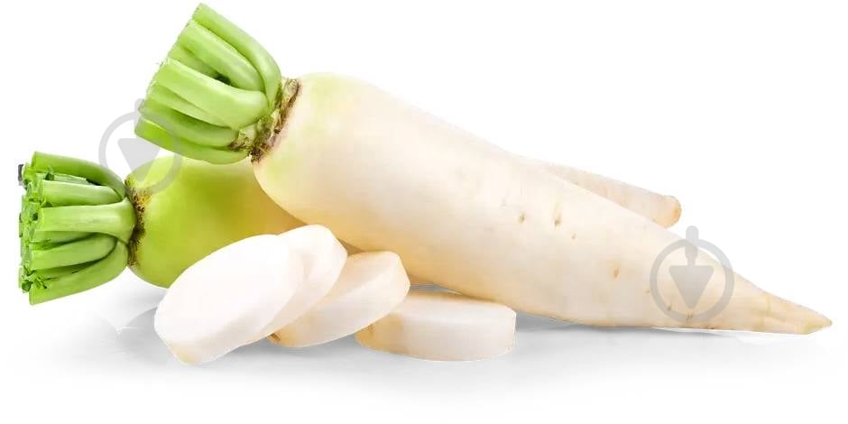 Редька Дайкон - фото 1 Редька Дайкон - фото 1