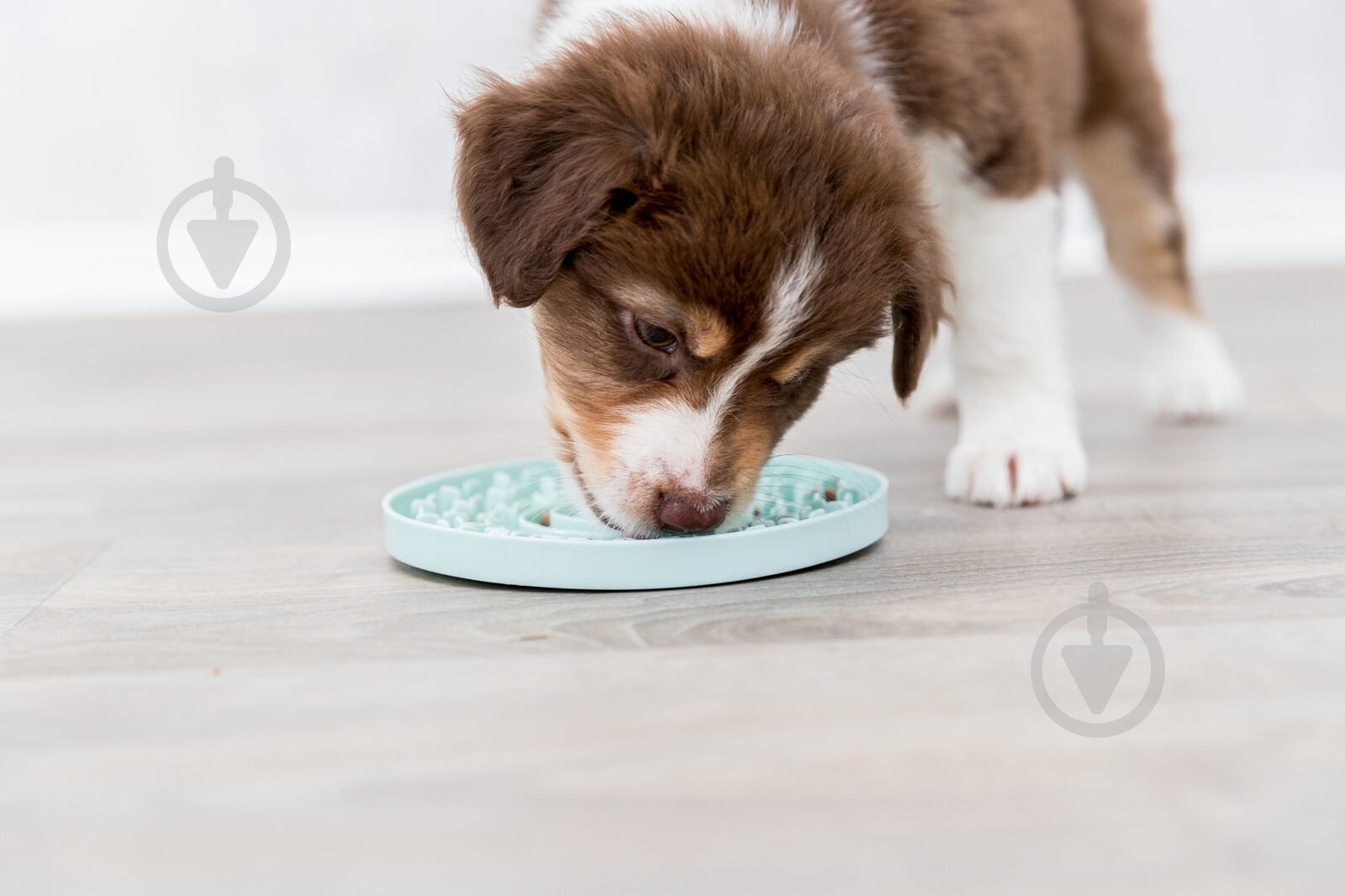 Миска Trixie Junior голубая d 15 см - фото 5 Миска Trixie Junior голубая d 15 см - фото 5