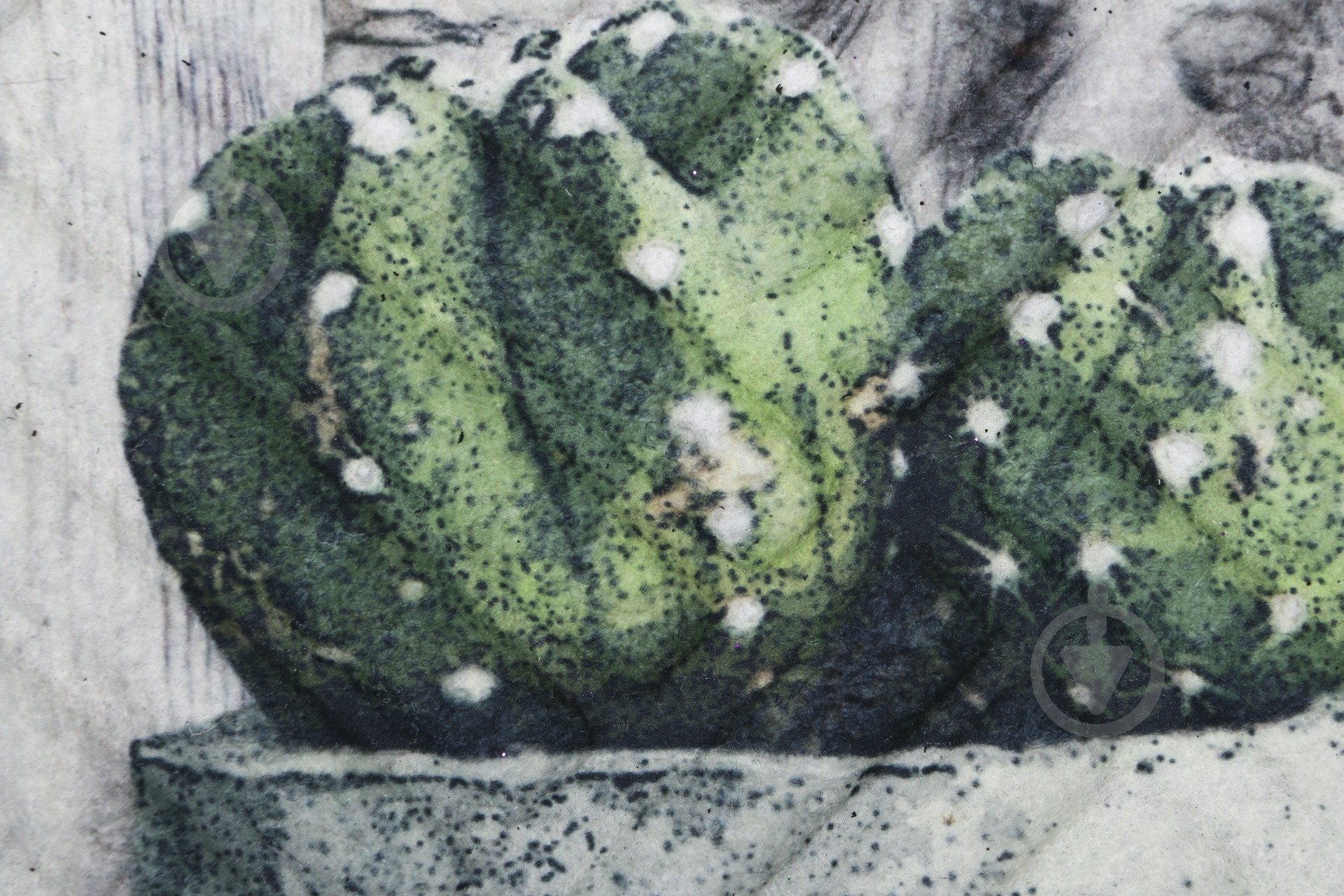 Коврик Multy Home Lima Succulents 45x75 - фото 3