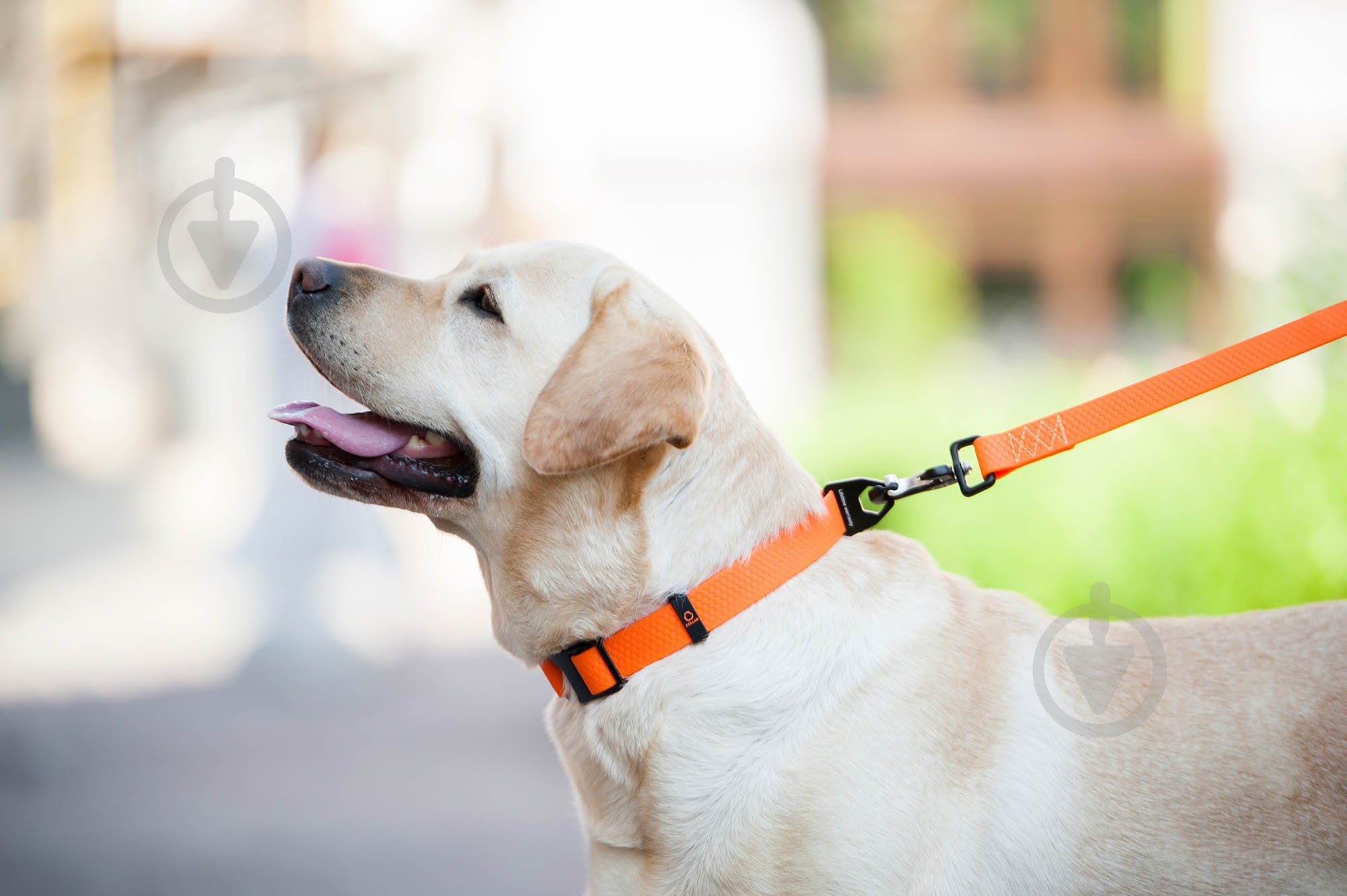 Ошейник Evolutor 2,5х25-70 см оранжевый - фото 5