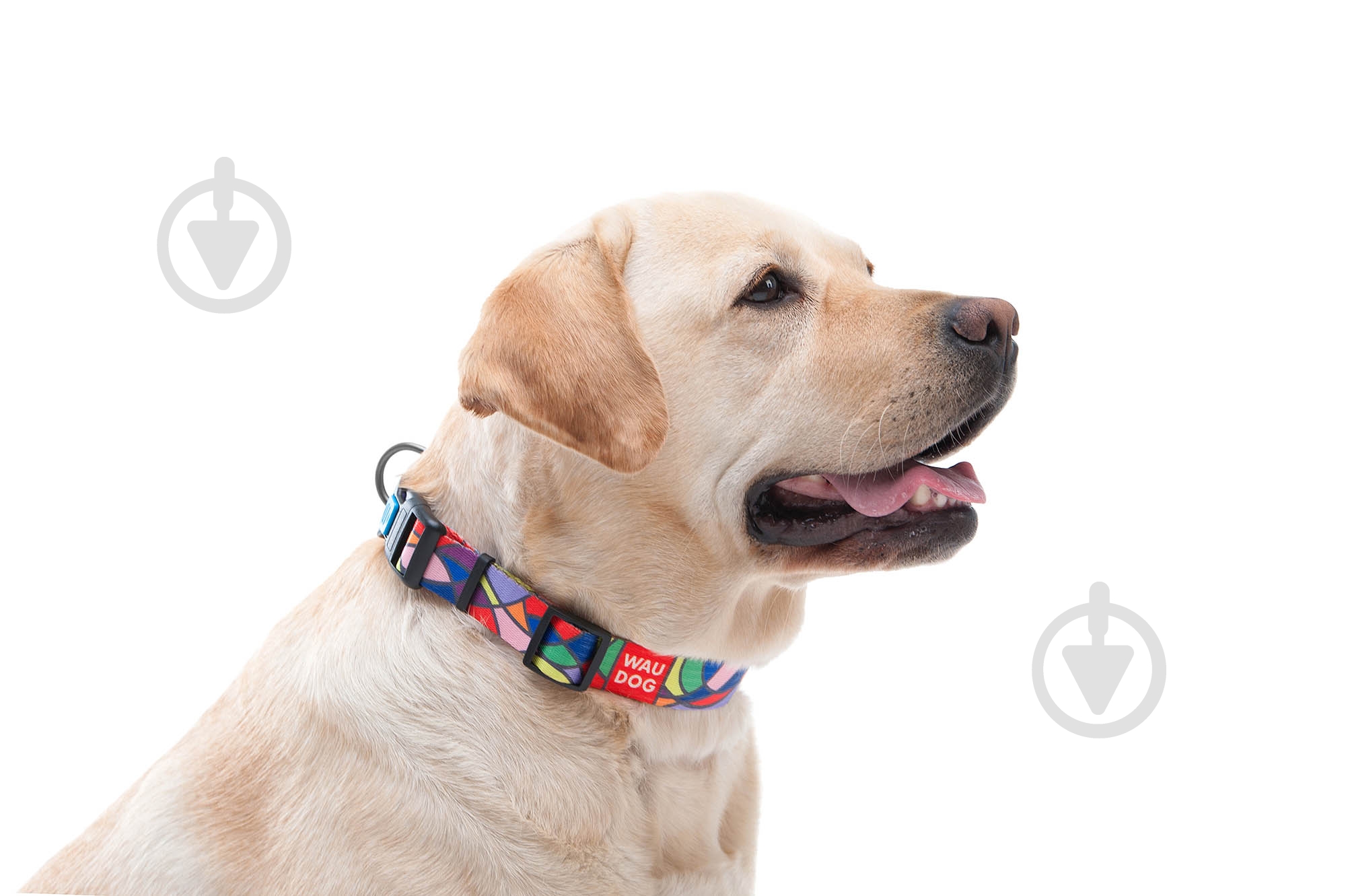 Ошейник WAUDOG Nylon с рисунком Витраж 2х24-40 см - фото 3