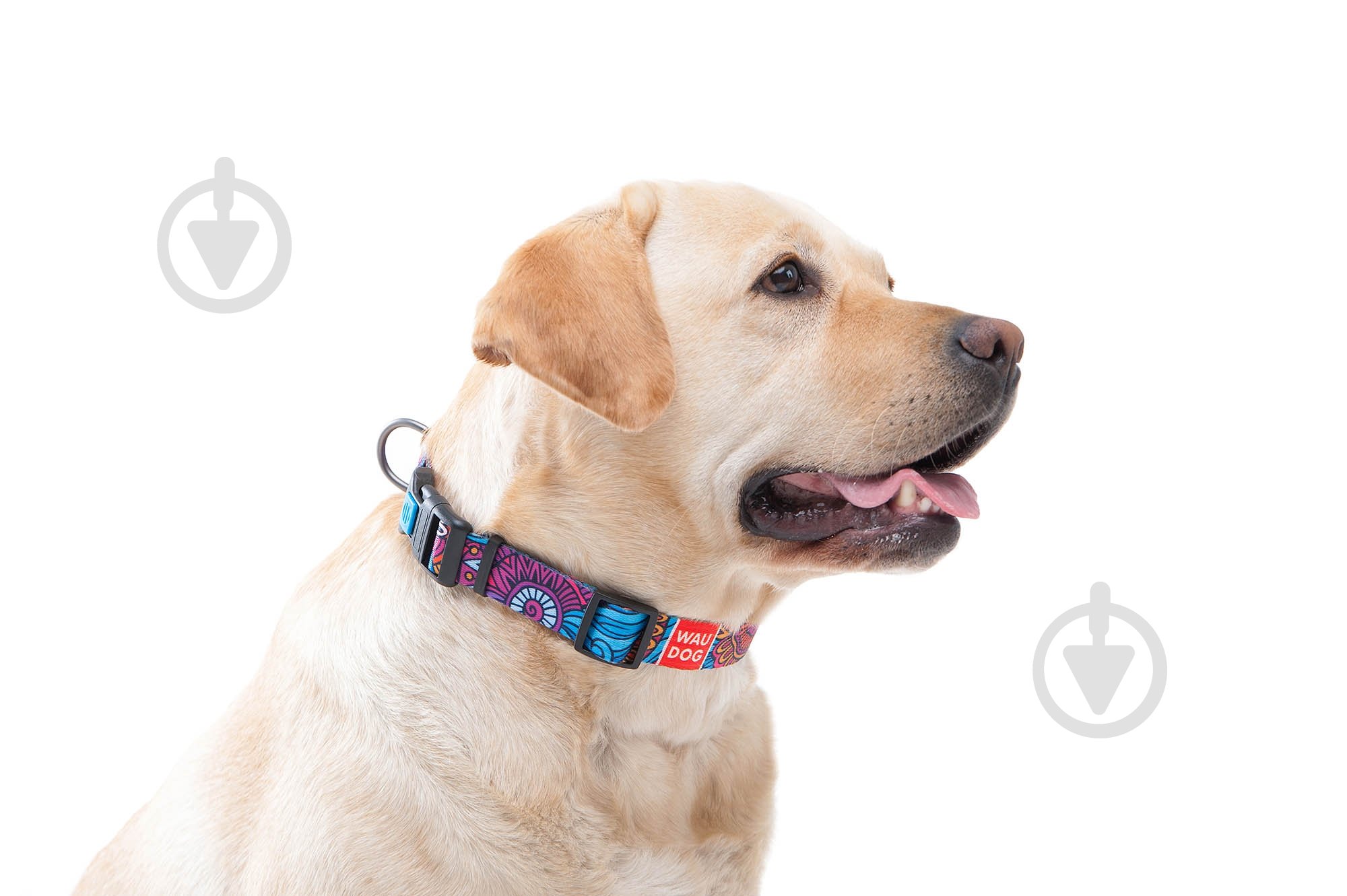 Ошейник WAUDOG Nylon с рисунком Лето 2х24-40 см - фото 3