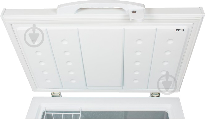 Морозильный ларь Inter L 200 - фото 17