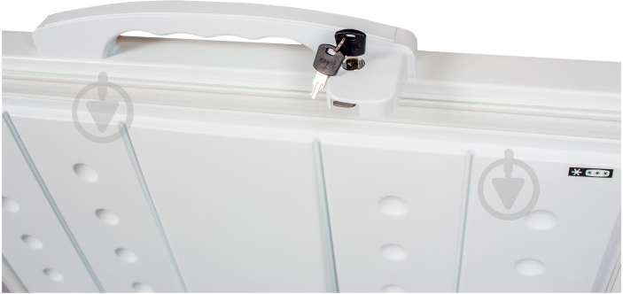 Морозильный ларь Inter L 250 - фото 5 Морозильный ларь Inter L 250 - фото 5