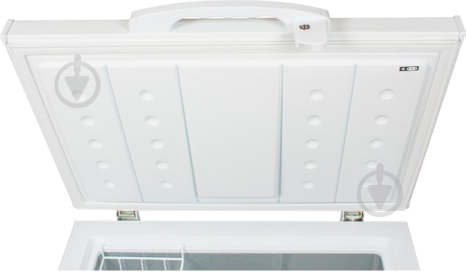 Морозильный ларь Inter L 250 - фото 4 Морозильный ларь Inter L 250 - фото 4