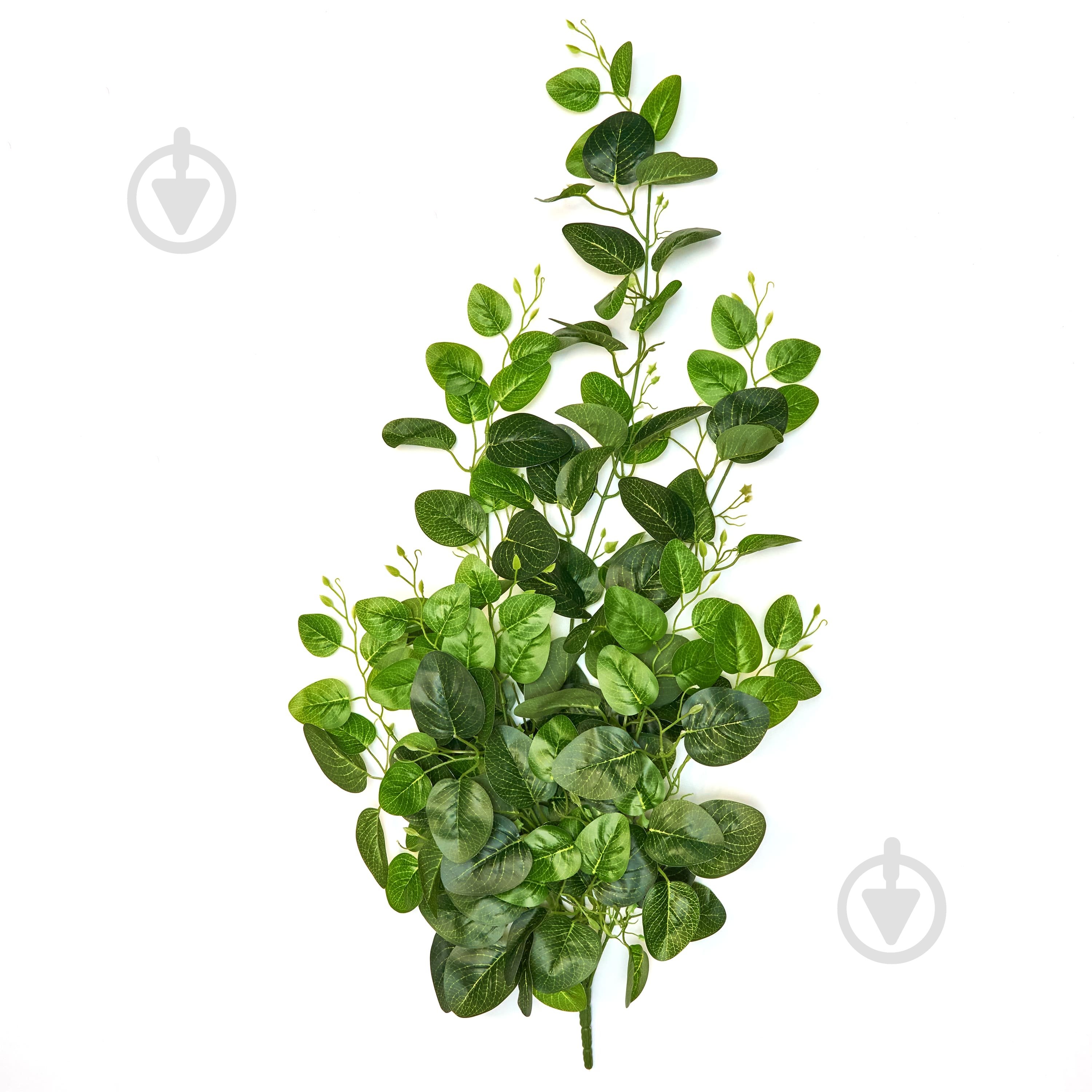 Веточка декоративная с листьями 105 см зеленая 631901 Девилон - фото 1 Веточка декоративная с листьями 105 см зеленая 631901 Девилон - фото 1