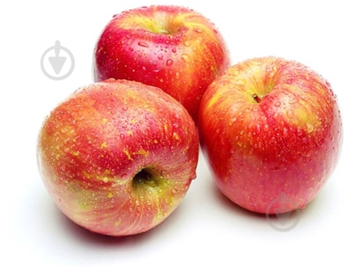 Яблука Джонаголд - фото 2