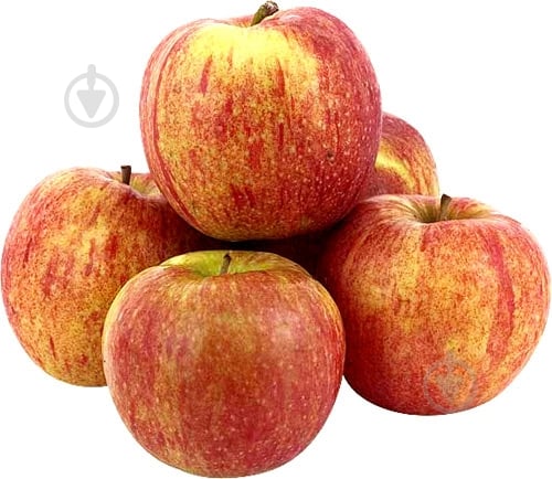 Яблука Джонаголд - фото 3