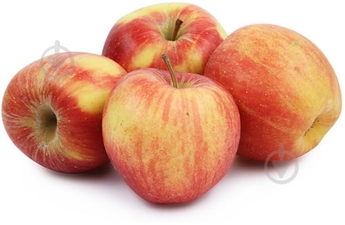 Яблука Джонаголд - фото 4