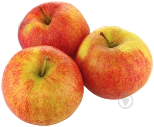 Яблука Джонаголд - фото 1