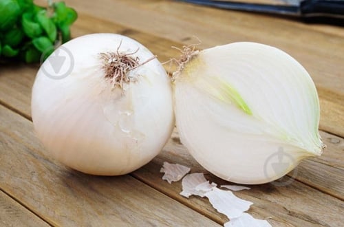 Лук белая весовая - фото 2