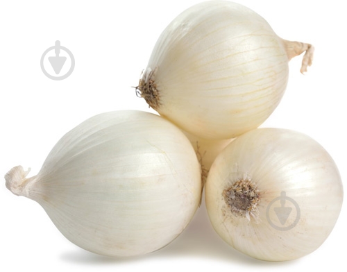Лук белая весовая - фото 1