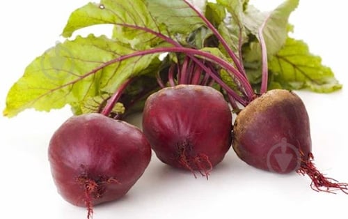 Свекла украина - фото 1