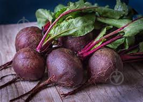 Свекла украина - фото 3