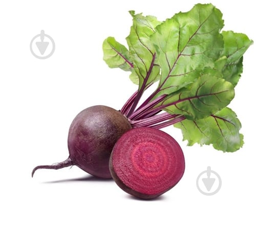 Свекла украина - фото 2