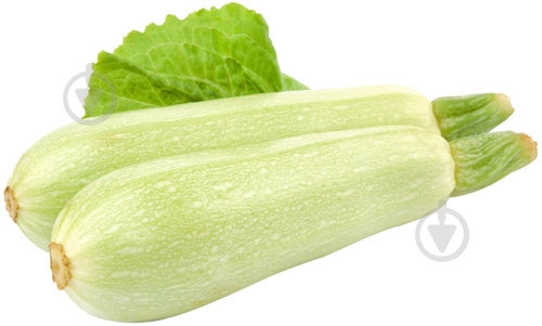 Кабачок імпортний - фото 2