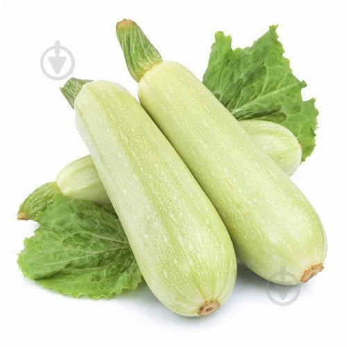 Кабачок імпортний - фото 3