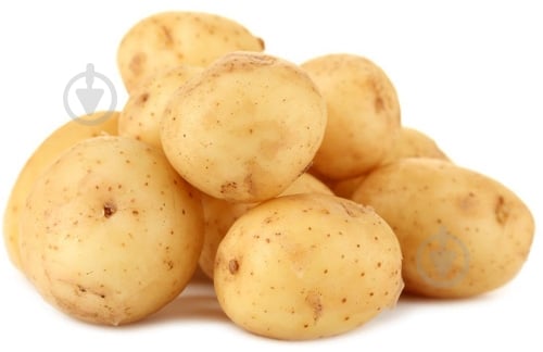 Картофель Украина - фото 1