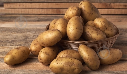 Картофель Украина - фото 4