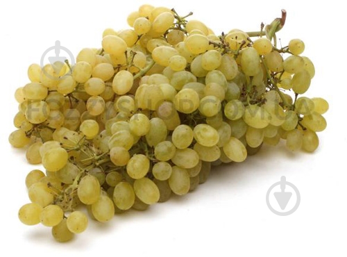 Виноград Киш-миш - фото 1