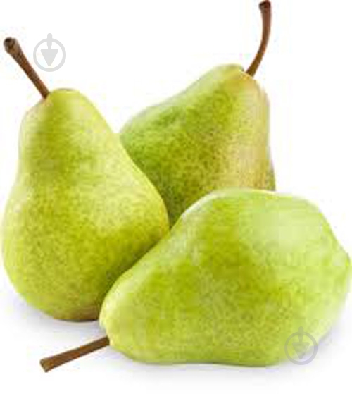 Груша лукас - фото 4