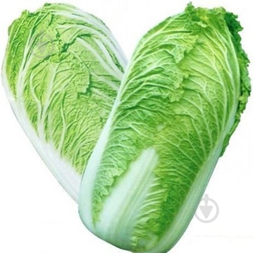Капуста пекинская - фото 2 Капуста пекинская - фото 2
