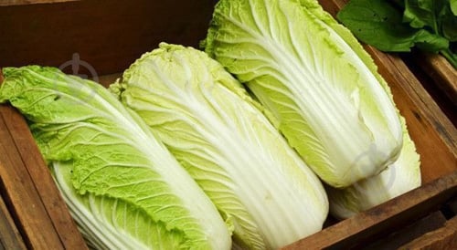 Капуста пекинская - фото 4 Капуста пекинская - фото 4