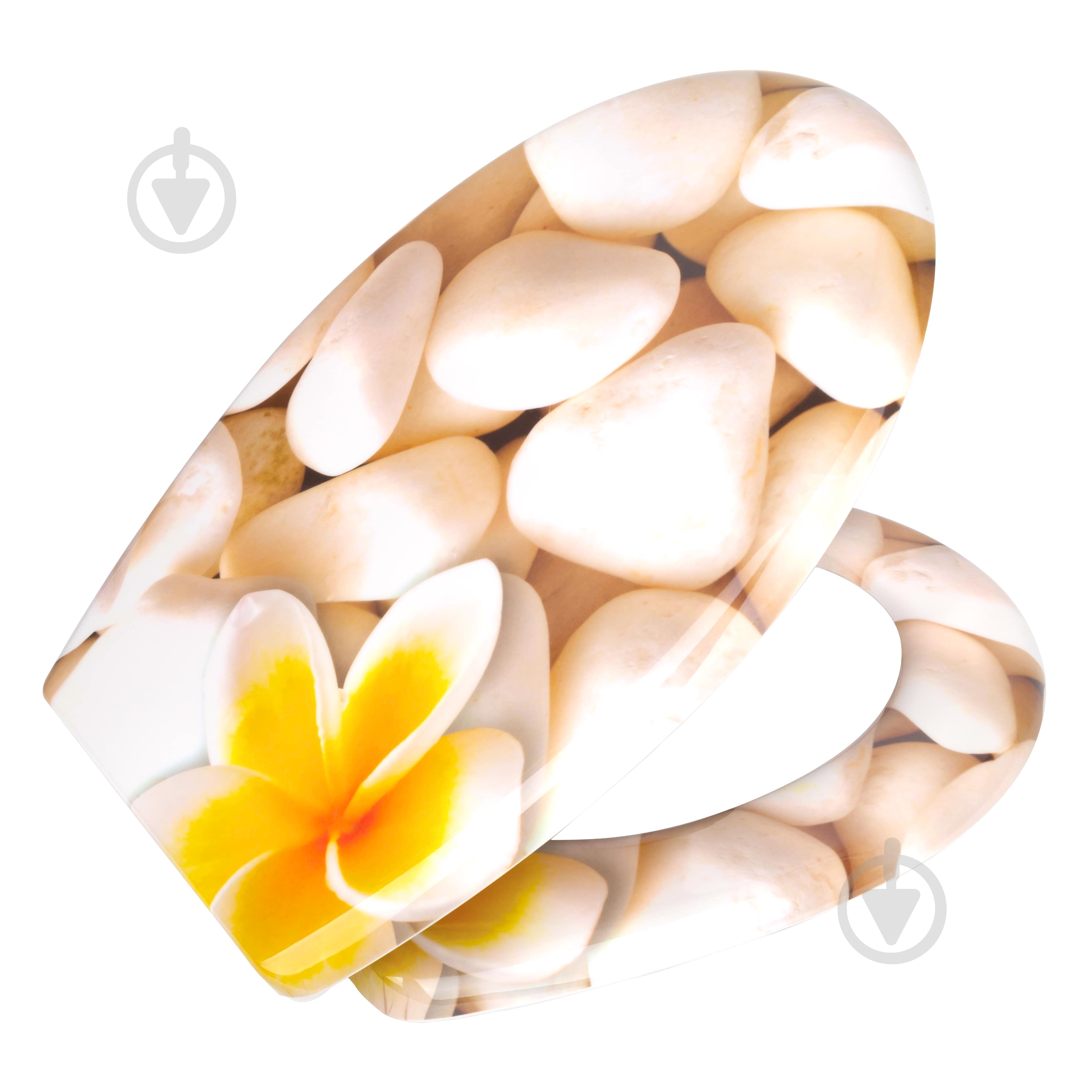 Сиденье для унитаза Rapal Lily 233 3D-дизайн дюропласт - фото 1 Сиденье для унитаза Rapal Lily 233 3D-дизайн дюропласт - фото 1