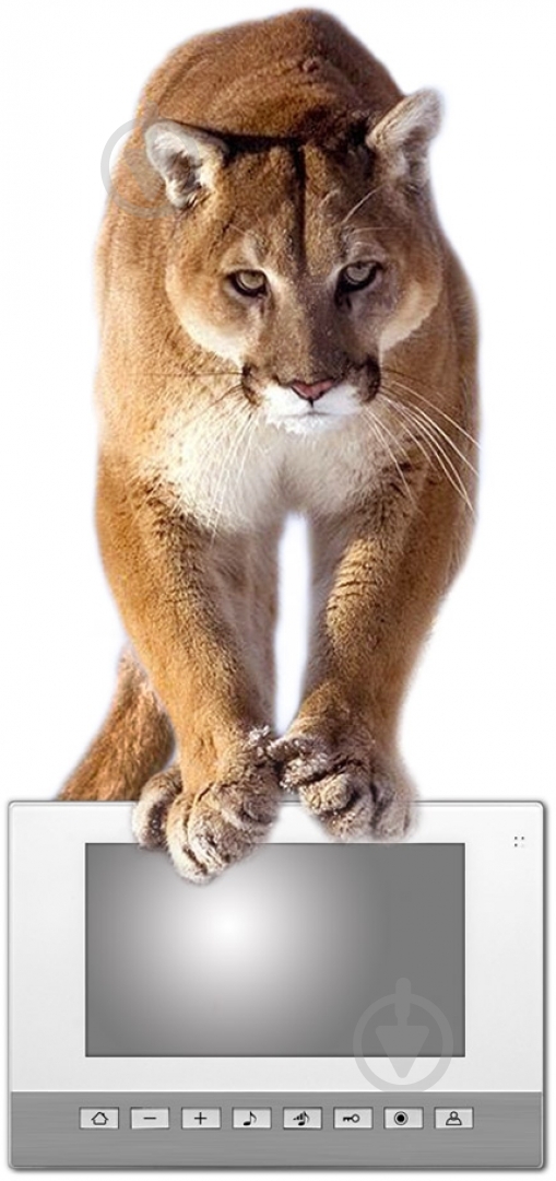 Видеодомофон InfiniteX mX 575 - фото 2 Видеодомофон InfiniteX mX 575 - фото 2