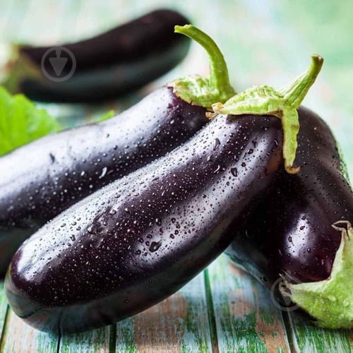 Баклажаны импортные - фото 5