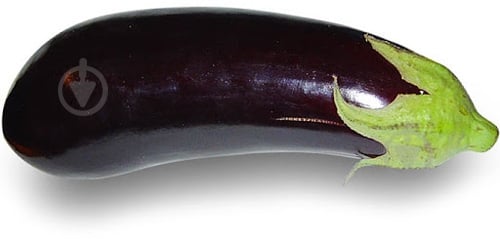 Баклажаны импортные - фото 4