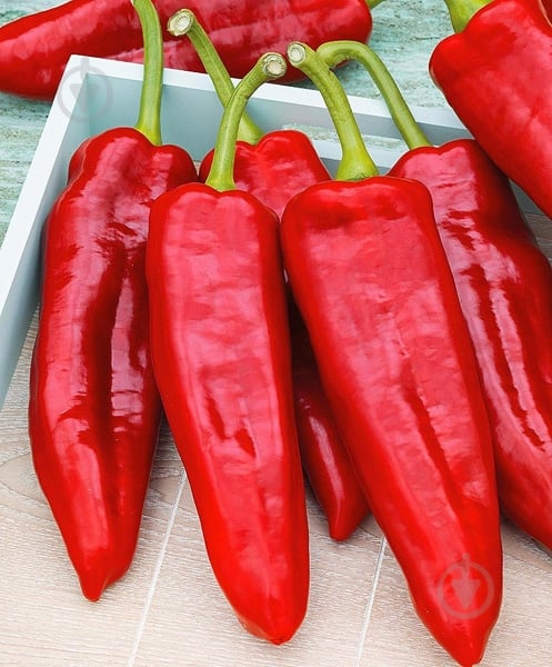 Перець Капі - фото 3