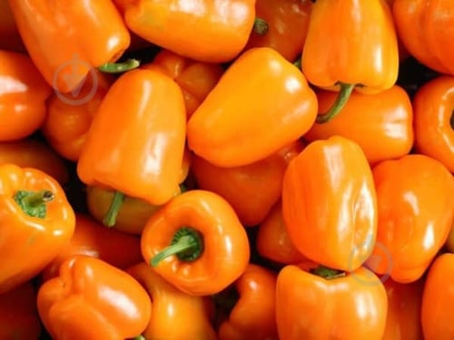 Перец оранжевый импортный - фото 6 Перец оранжевый импортный - фото 6