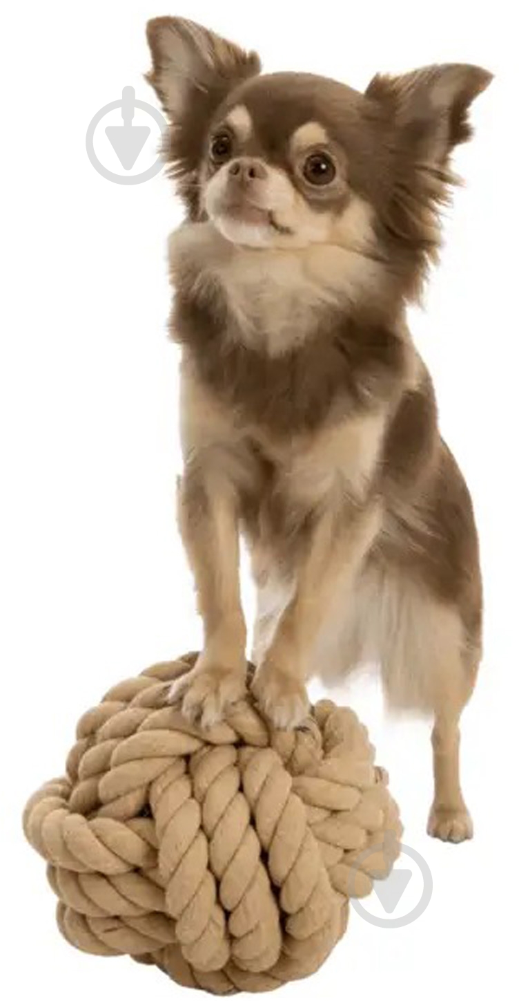 Игрушка Trixie для собак Мяч BE NORDIC канат d=13 см 32630 - фото 2 Игрушка Trixie для собак Мяч BE NORDIC канат d=13 см 32630 - фото 2