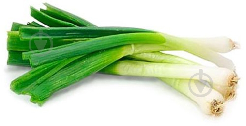 Часник молодий - фото 1